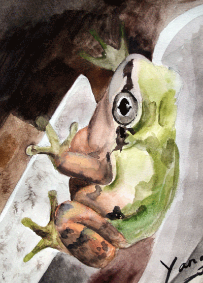 080726-02.gif