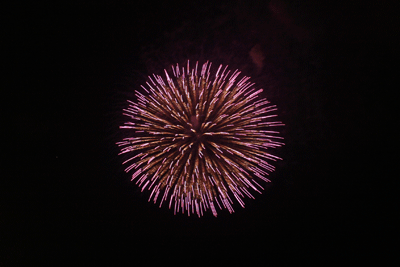 11.gif